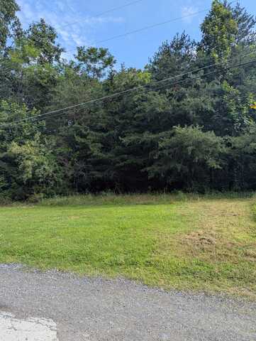 Lot 62 LAKE DR, CRIMORA, VA 24431
