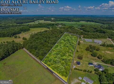 0 Curt Bailey, Hartwell, GA 30643