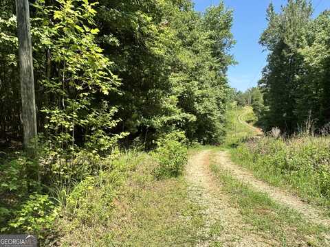 0 Hwy 29, Danielsville, GA 30633