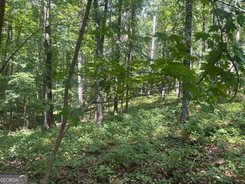 2055 Henry Scott Rd-LOT B 3.7 acres, Ball Ground, GA 30107
