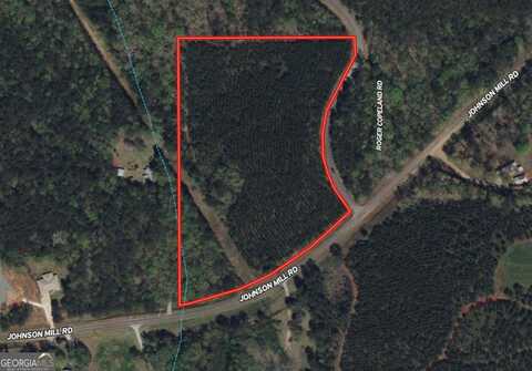 11.02 Ac Johnson Mill, Hamilton, GA 31811