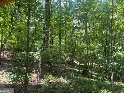 2049 Henry Scott Rd-LOT C 2.3 acres, Ball Ground, GA 30107