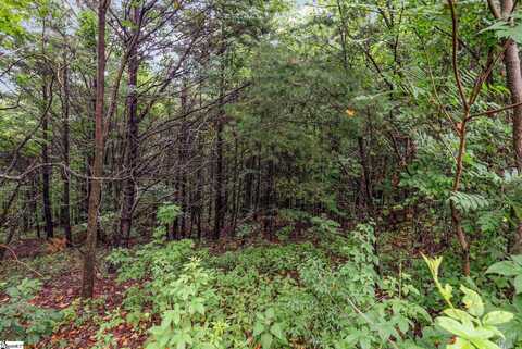 83 Eagle Rock Road, Landrum, SC 29356
