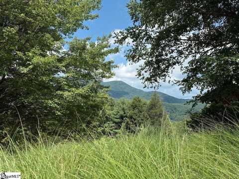 83 Eagle Rock Road, Landrum, SC 29356
