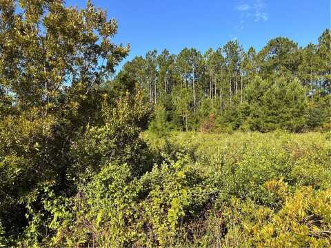 0 Horseshoe Cove, Waverly, GA 31565
