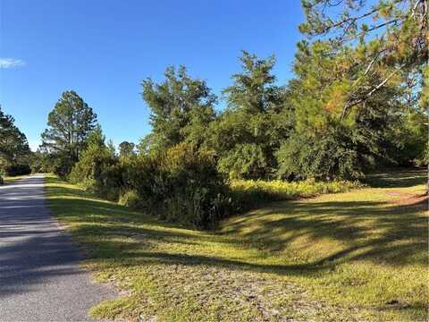 00 HORSESHOE COVE RD Cove, Waverly, GA 31565