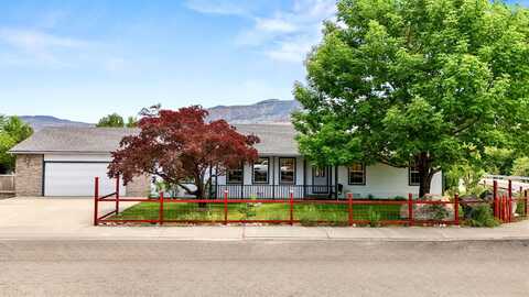 819 Elberta Avenue, Palisade, CO 81526