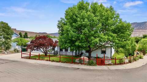 819 Elberta Avenue, Palisade, CO 81526