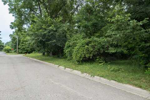V/L Raymond Drive, Lansing, MI 48906