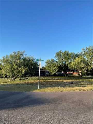 Lot 32 N Alvarado Street, Alton, TX 78573