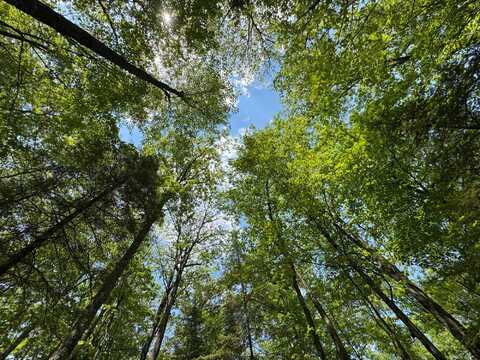 309/310 DEERWOOD RD, Minocqua, WI 54548