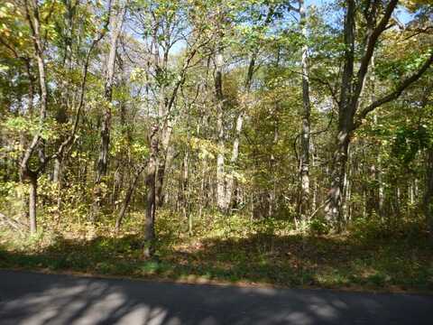Vl W AB Avenue, Otsego, MI 49078