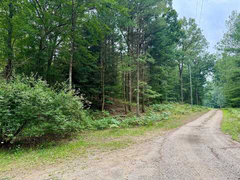 1 Wayne, Pentwater, MI 49449