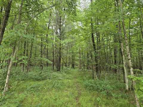 5369 E 68th Street, Chase, MI 49623