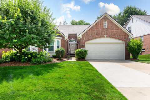 3872 Arbor Drive, Auburn Hills, MI 48326