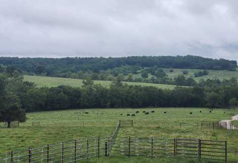 9551 Highway Ff, Mountain Grove, MO 65711