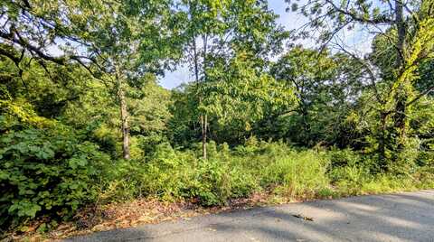 Lot 9 Azalea Lane, Branson West, MO 65737