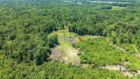 Gunshoot Rd, Steens, MS 39766