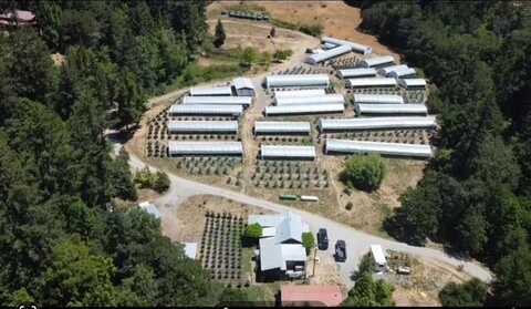 35082 Alderpoint Road, Blocksburg, CA 95514