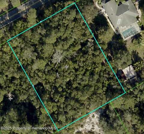 Noddy Tern Road, Weeki Wachee, FL 34613