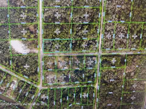 7438 Cockleberry Drive, Ridge Manor, FL 33597