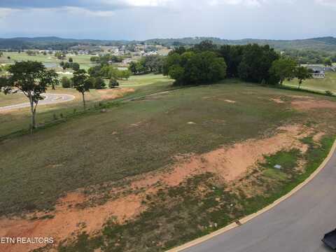 123 Magnolia HI, Loudon, TN 37774