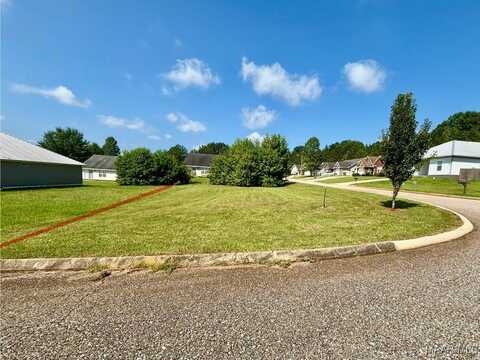 39 Long Leaf Lane, Greenville, AL 36037
