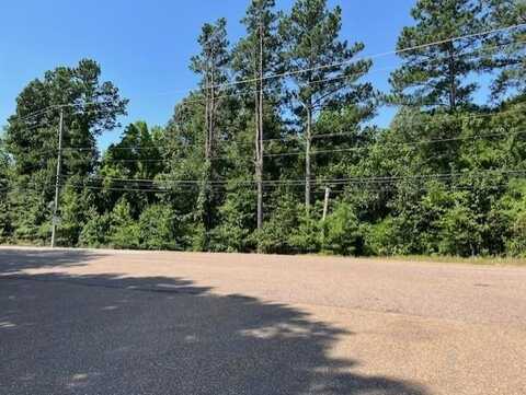 3977 CANADA, Lakeland, TN 38002