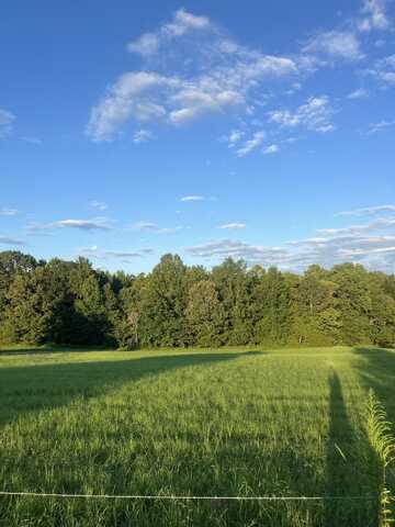 1480 BRUCE, Whiteville, TN 38075