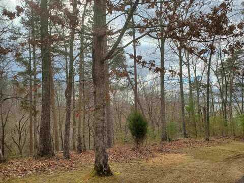 LOT 223 RIDGEVIEW, Savannah, TN 38372