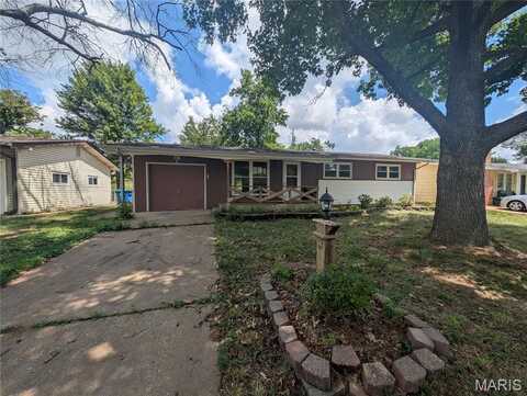 10533 Roscommon Drive, Saint Louis, MO 63123