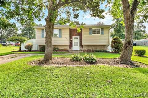 235 10th Street, Wood River, IL 62095