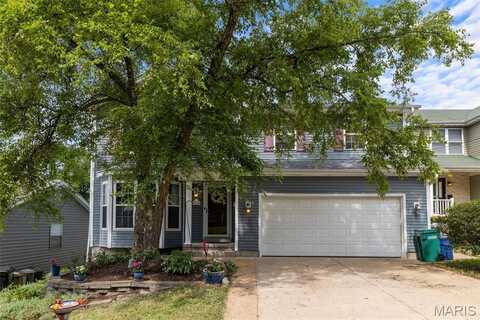 2925 Collier Avenue, Saint Louis, MO 63144