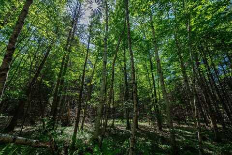 Newport Lot 8 Murray Road, Newport, ME 04953