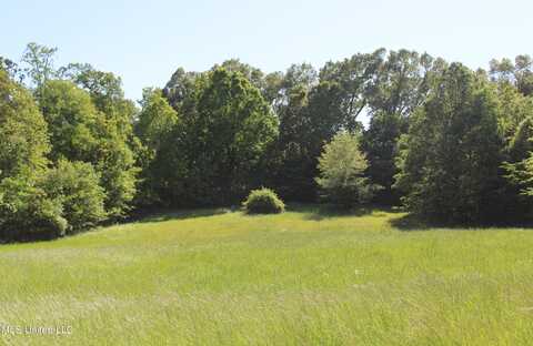 4900 Pepper Chase Drive, Southaven, MS 38671
