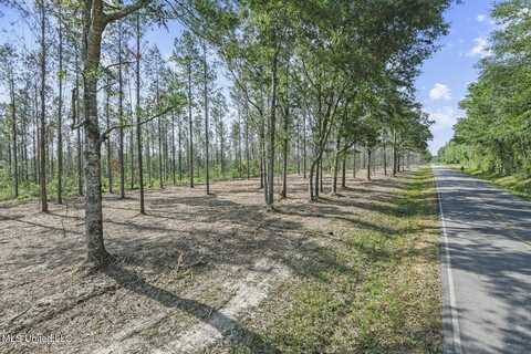 Nhn Ramsey Road, Saucier, MS 39574