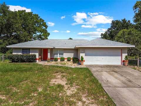 113 GUAVA TERRACE, OCKLAWAHA, FL 32179