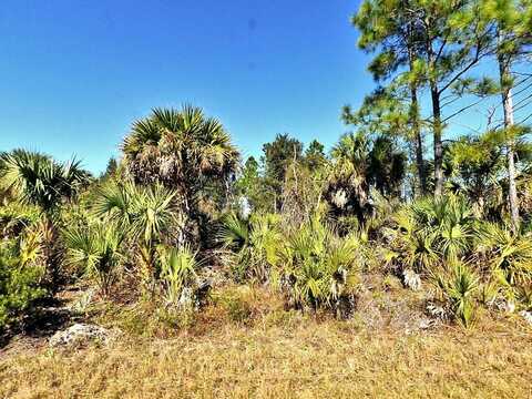 FIVELEAF ROAD, NORTH PORT, FL 34288