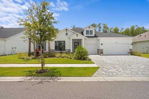 7520 ASHBROOKE PINE LOOP, ODESSA, FL 33556