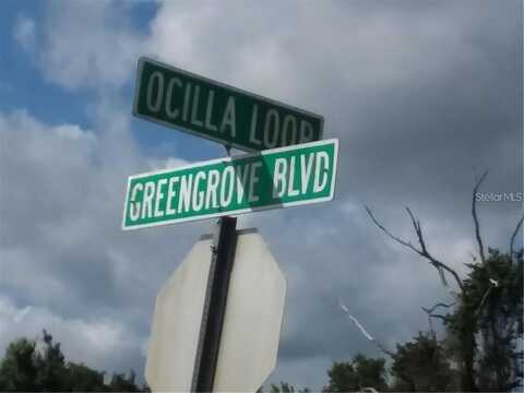 GREENGROVE BOULEVARD, CLERMONT, FL 34714