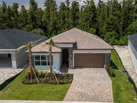 3590 MALTA AVENUE, WESLEY CHAPEL, FL 33543
