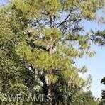 12th, NAPLES, FL 34117