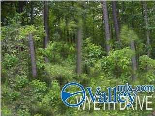 40 & 41 Wyeth Drive, Guntersville, AL 35976