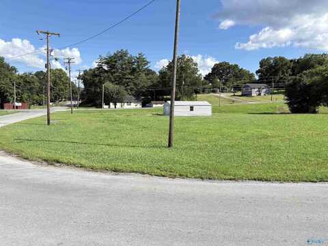 Pin# 908 Bleeker Street, Bridgeport, AL 35740