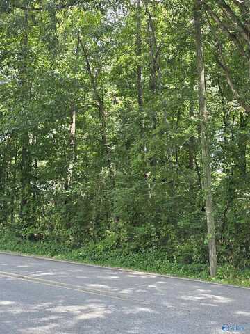 .46 Acres 10th Street NW, Arab, AL 35016