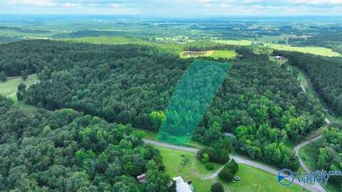 1454 N Pleasant View Road, Falkville, AL 35622