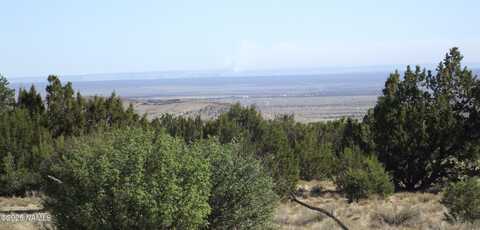 11962 S Mesa View Road, Williams, AZ 86046