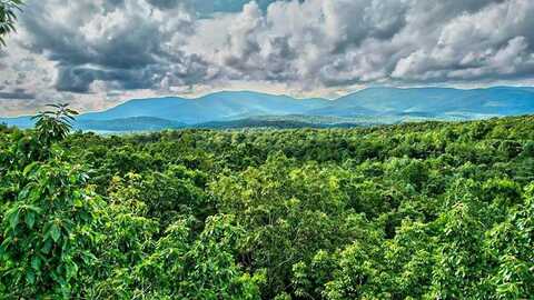19.44 MT MCGRUDER RD- 48.26 acres, Ellijay, GA 30540