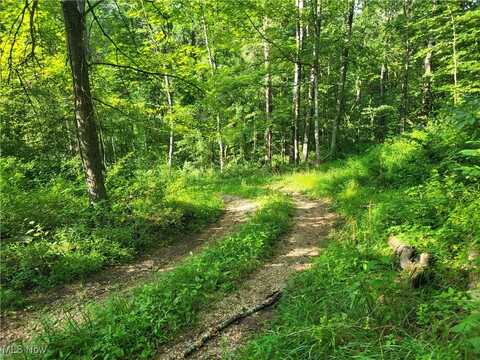 5855 Olney Run Road, Mcconnelsville, OH 43756