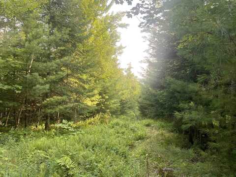 Lot 4 Aldrich Mountain Lane, Waterford, VT 05819